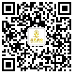 公司手機站